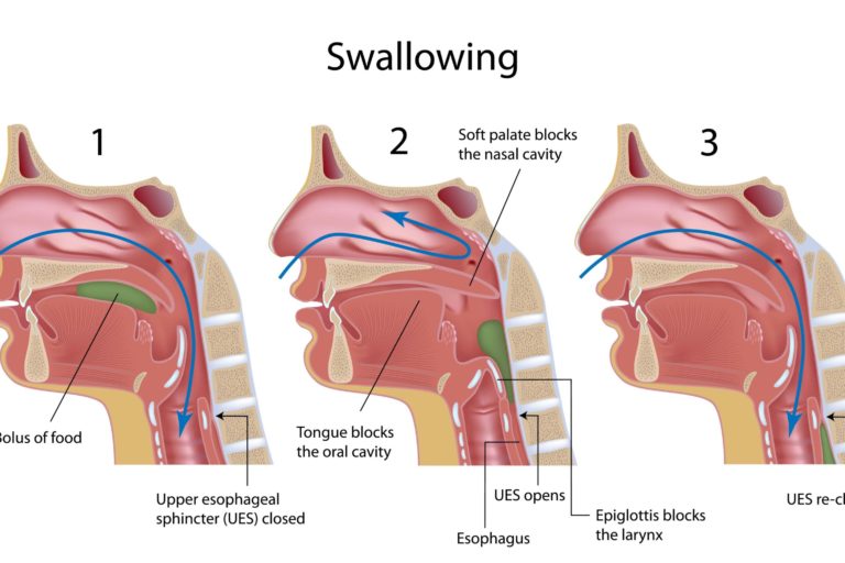 Speech and Swallowing Disorders-Cache Valley Ear, Nose & Throat-2245 N 400 E Ste 301, North Logan, UT